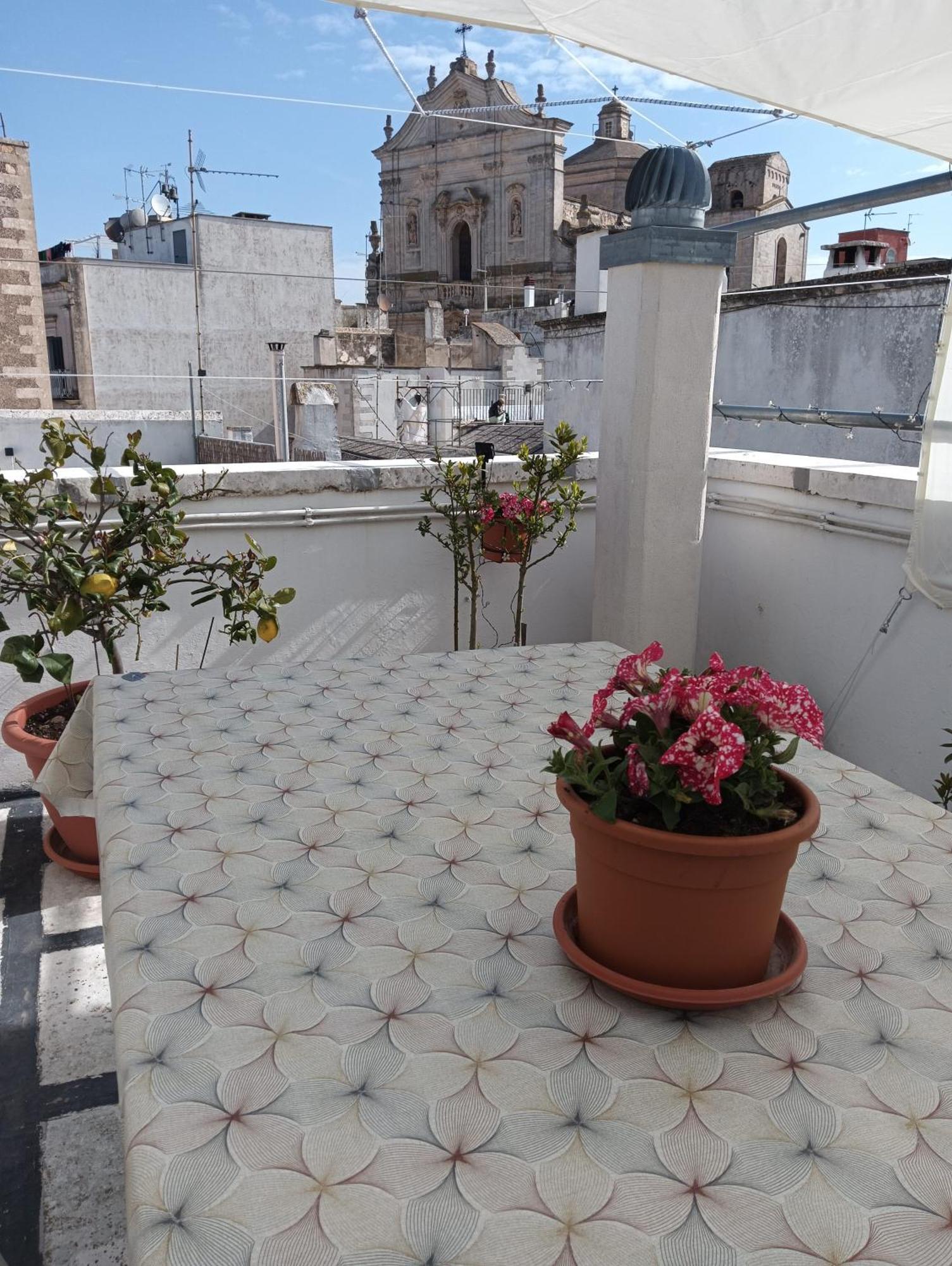 Casa La Rosa *
